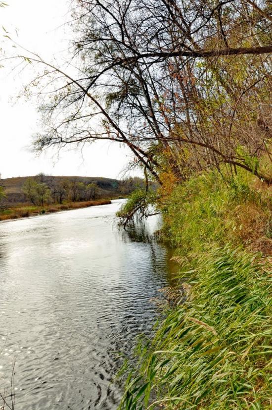 Білогорівка з panoramio.com - Белогоровка