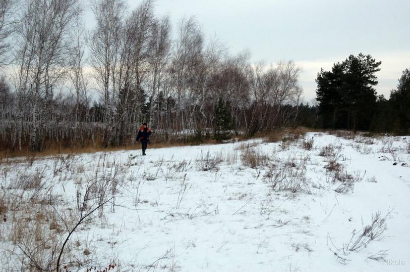 Воронове з panoramio.com - Воронове