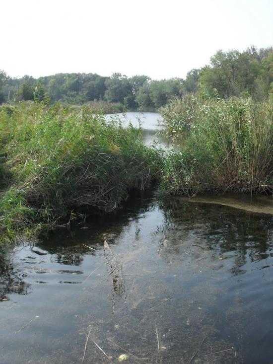 Времівка з panoramio.com - Времівка