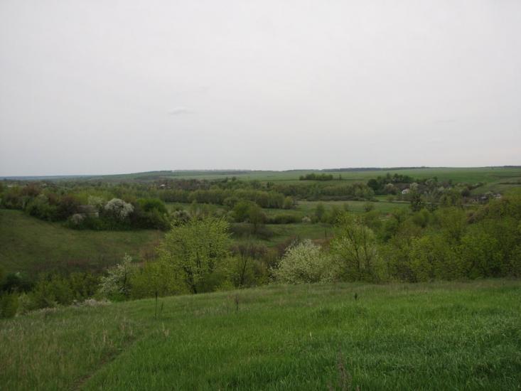 Грушківка з panoramio.com - Грушковка