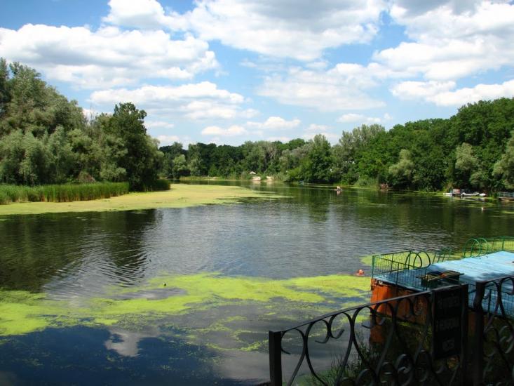 Коропове з panoramio.com - Koropove