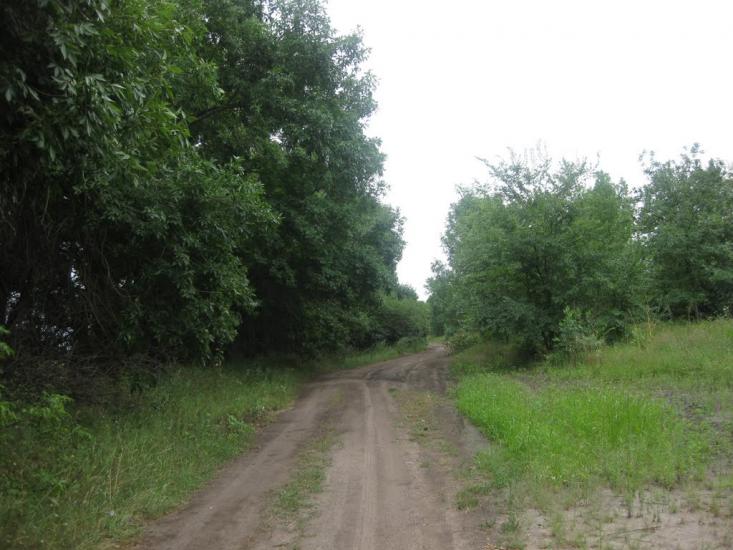 Садки з panoramio.com - Садки