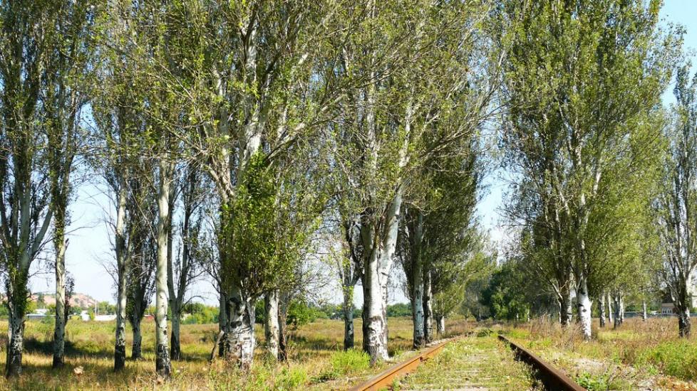 Піски з panoramio.com - Пески