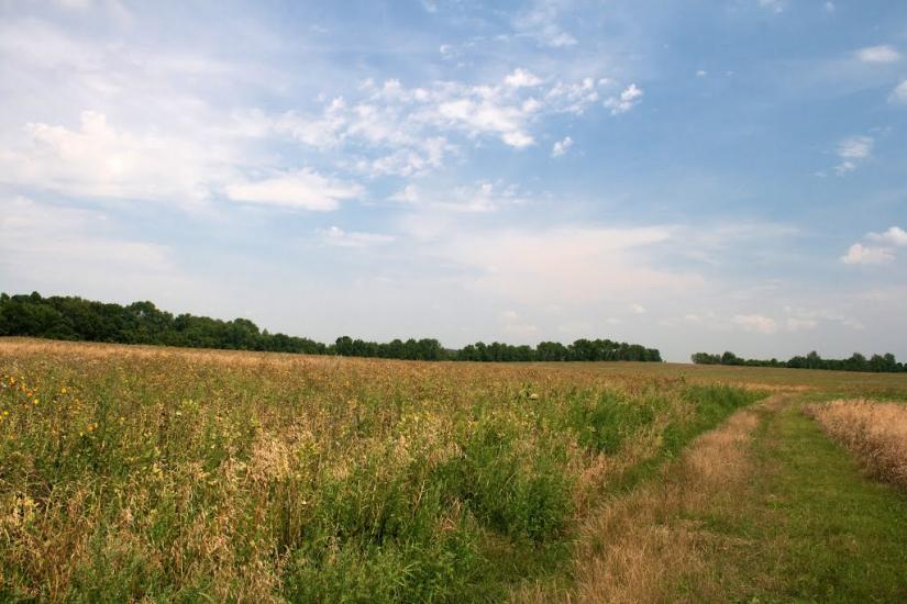 Дігтярне з panoramio.com - Дегтярное