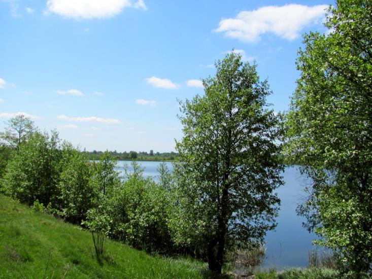 Замостя з panoramio.com - Замостя