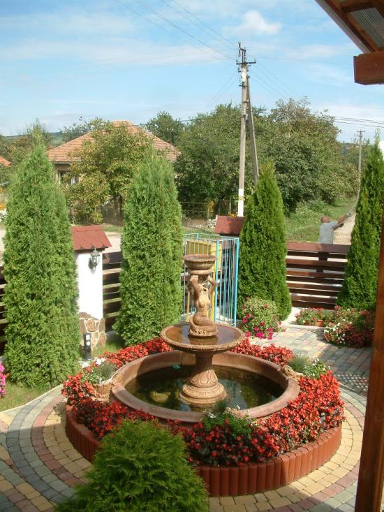 Мужієво з panoramio.com - Мужиево