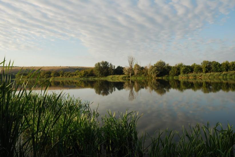 Берегове з panoramio.com - Берегове