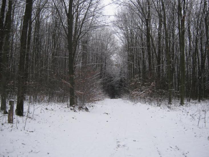 Чудинівці з panoramio.com - Чудинівці