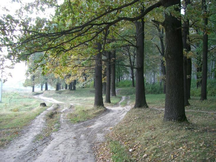 Люботин з panoramio.com - Люботин