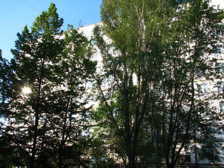 Логачівка з panoramio.com - Логачевка