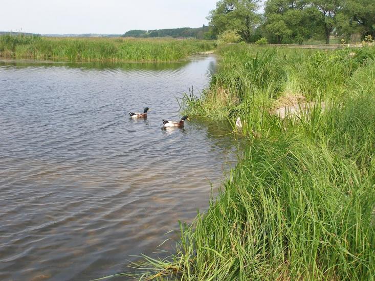 Чорногородка з panoramio.com - Chornogorodka