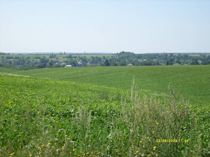 Браїлів з panoramio.com - Браилов