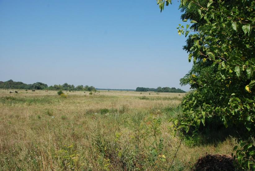Нова Оржиця з panoramio.com - Новая Оржица