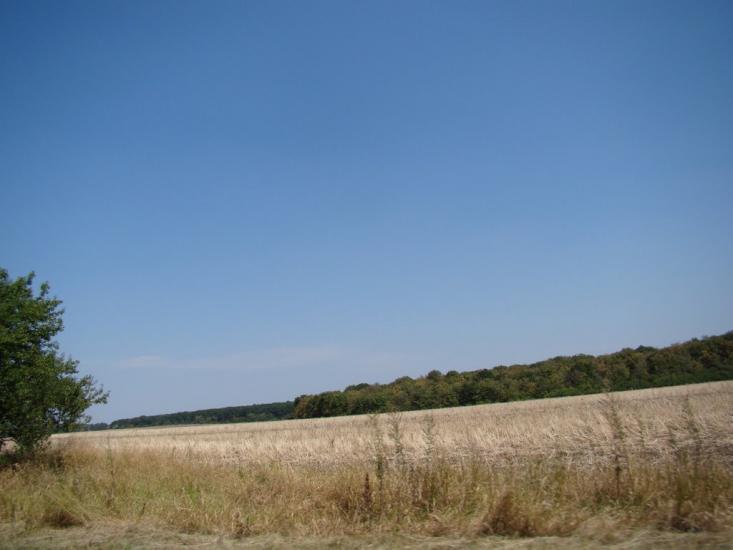Нерубайка з panoramio.com - Нерубайка