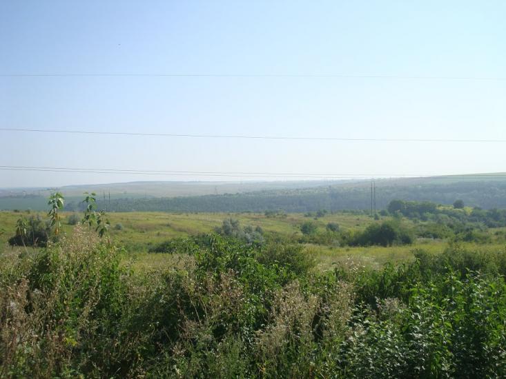 Панівці з panoramio.com - Panivtsi