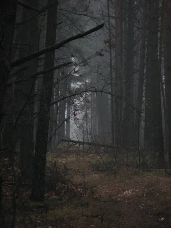 Червона Гута з panoramio.com - Червона Гута
