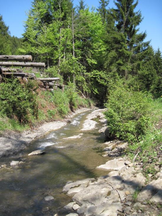 Лавочне з panoramio.com - Лавочное