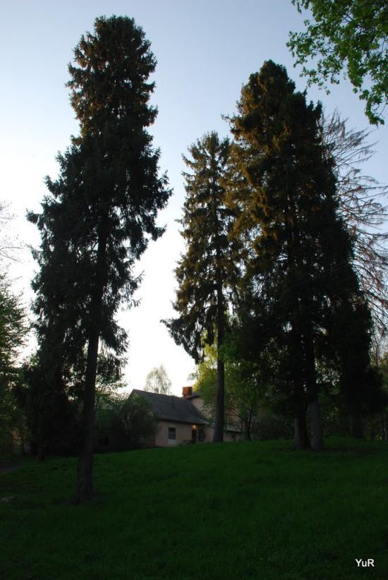 Рай з panoramio.com - Рай