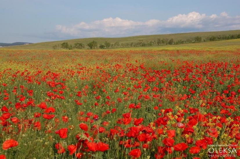 Мостове з panoramio.com - Мостове