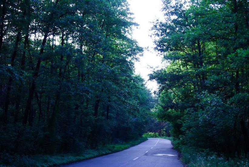 Проців з panoramio.com - Protsiv