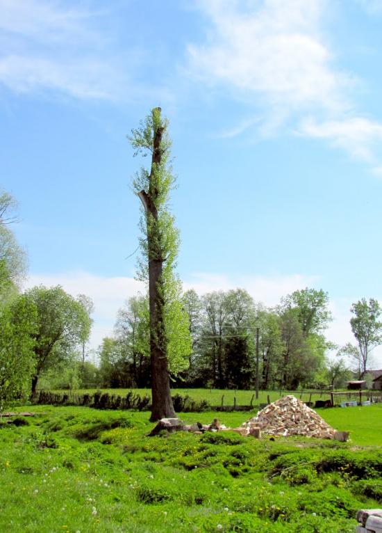 Сарни з panoramio.com - Сарни