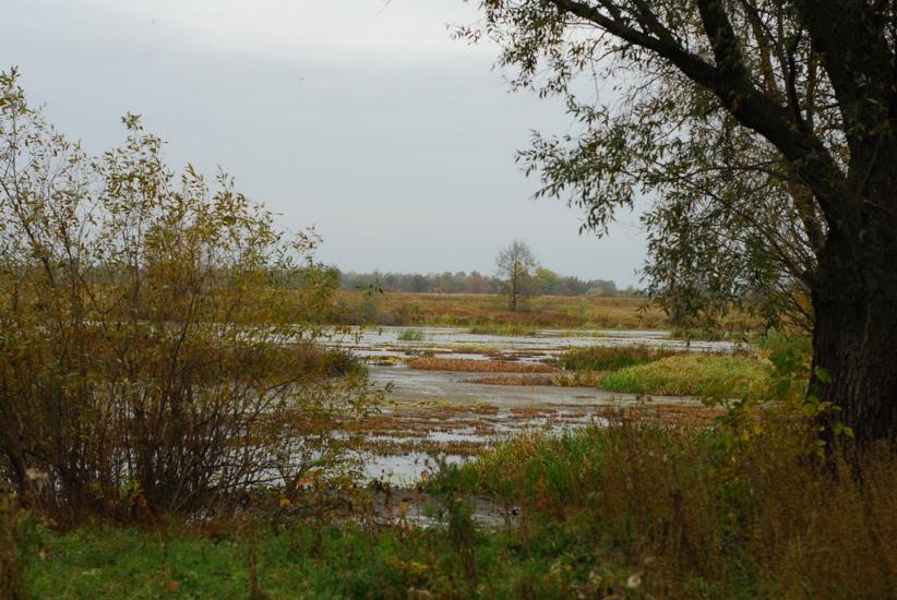 Остапівка з panoramio.com - Остапівка