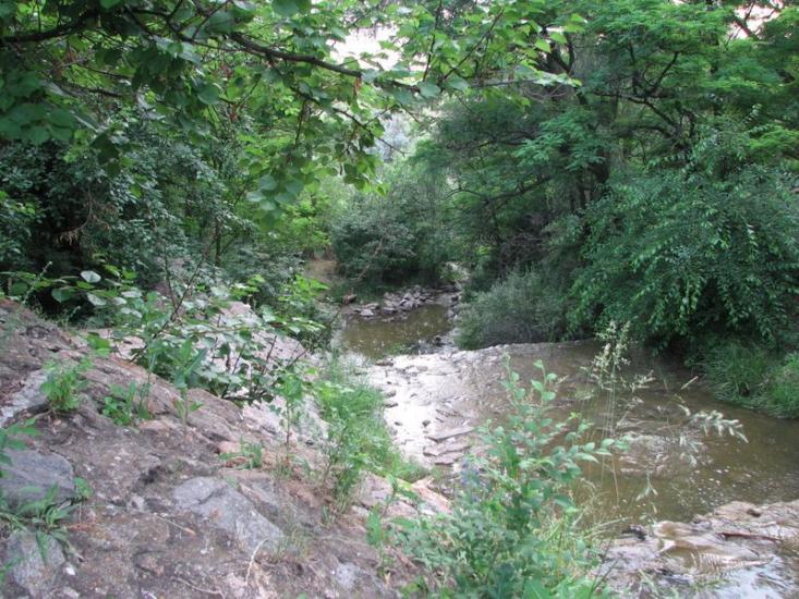 Гнаровське з panoramio.com - Гнаровское