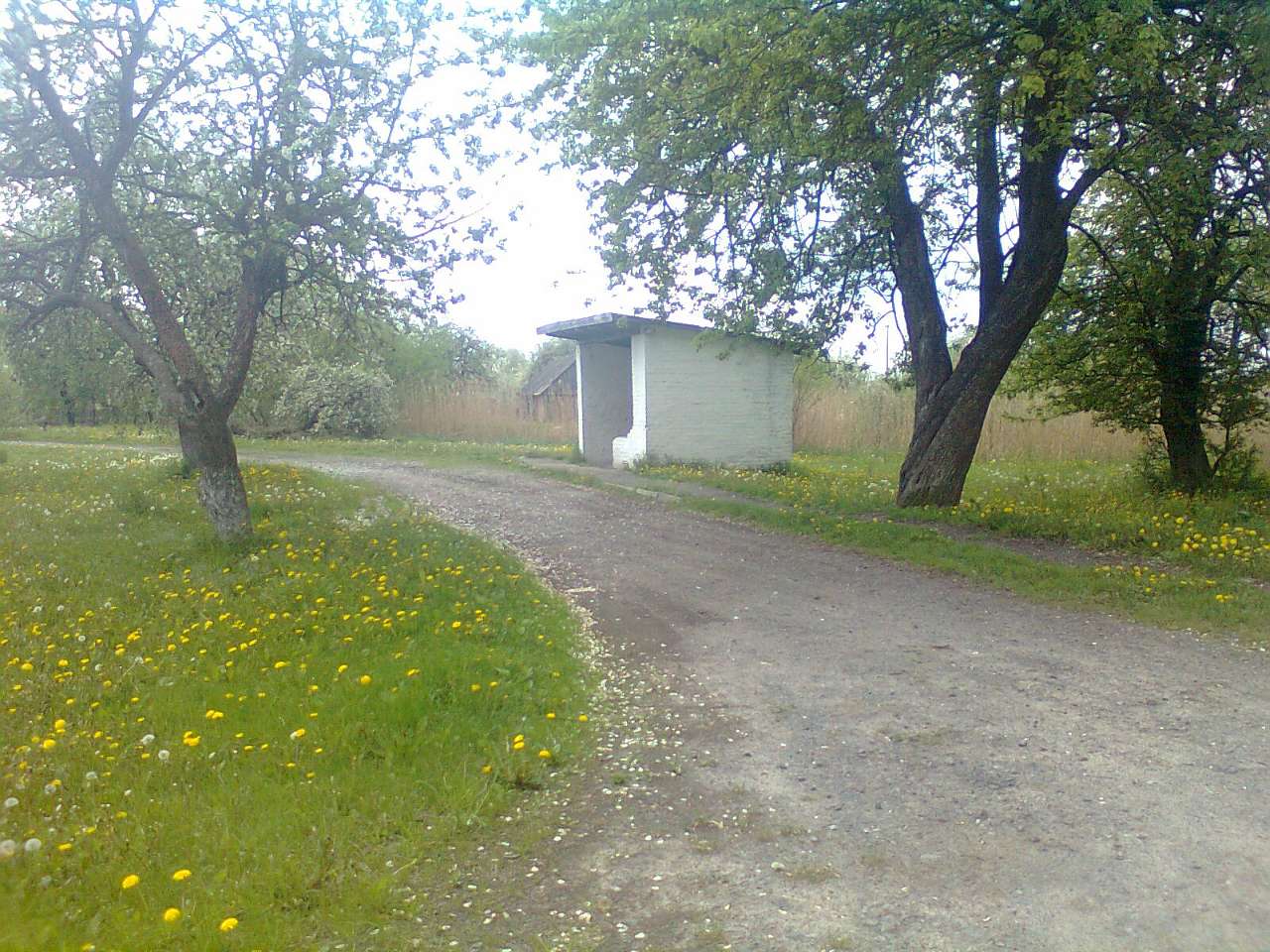 Мирин - Мирин