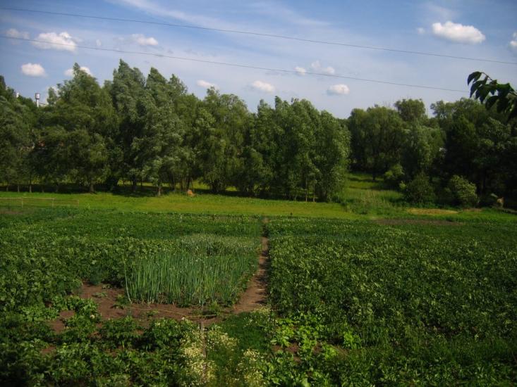 Владиславка з panoramio.com - Владиславка