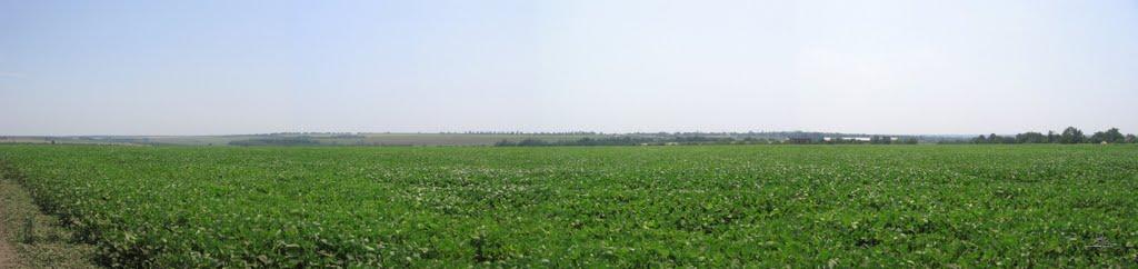 Арбузинка з panoramio.com - Арбузинка