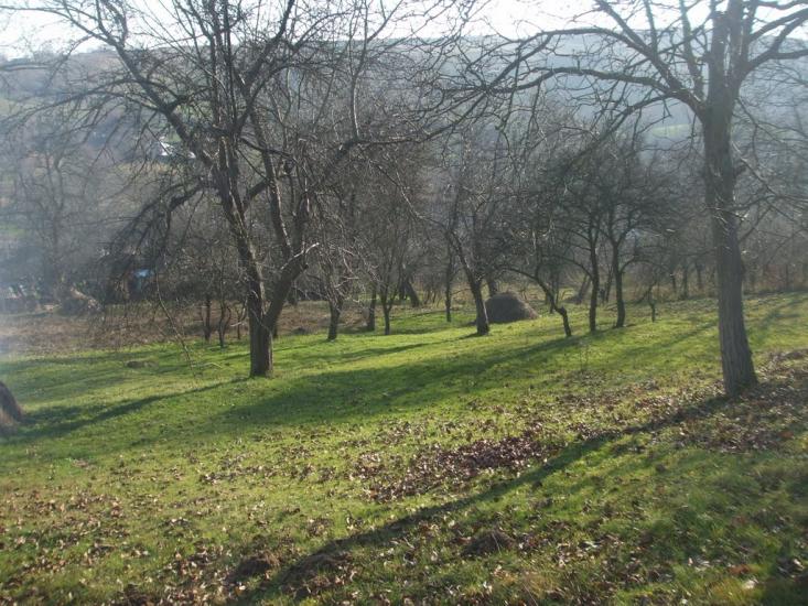 Могилівка з panoramio.com - Могилевка
