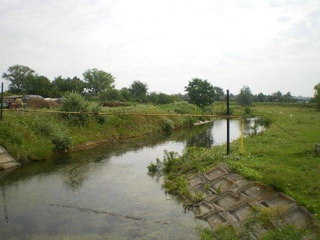 Нова Галещина з panoramio.com - Нова Галещина