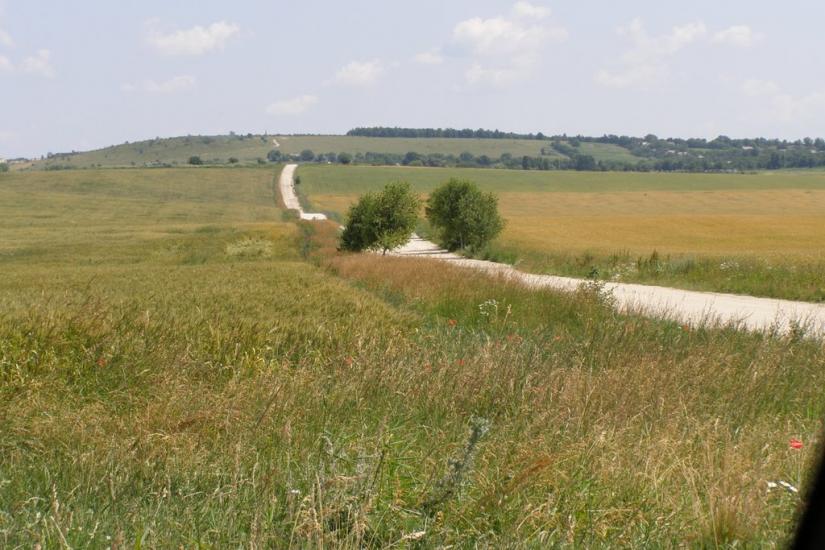Вербка з panoramio.com - Вербка