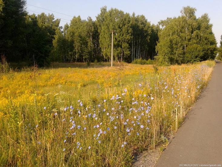 Бурківка з panoramio.com - Бурківка