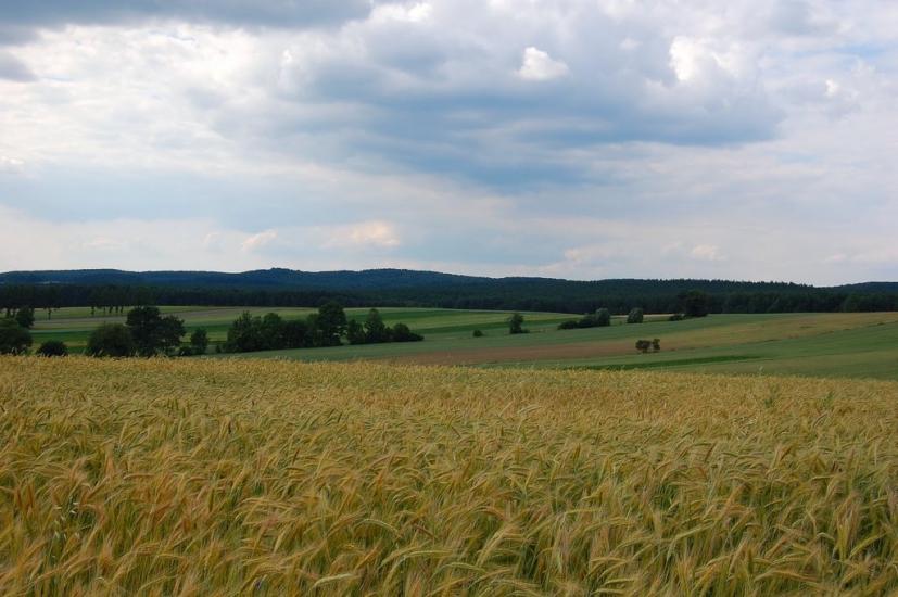 Дев'ятир з panoramio.com - Девятир