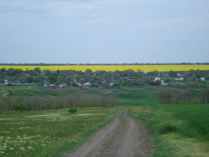 Широколанівка з panoramio.com - Широколанівка