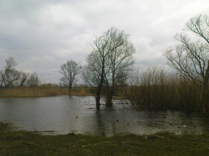 Катеринка з panoramio.com - Катеринка