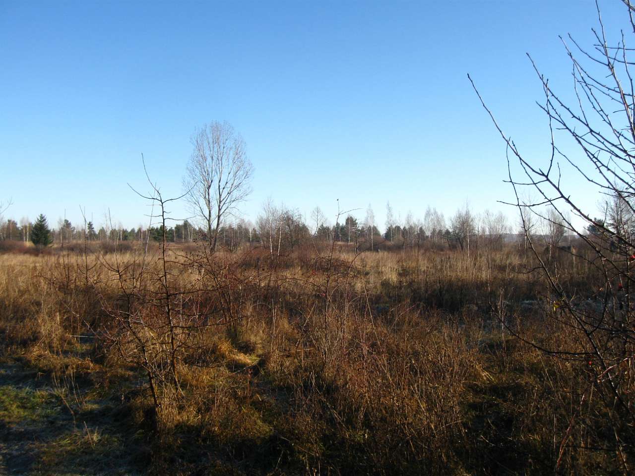 РОПЛЄНКЕ - Небилів