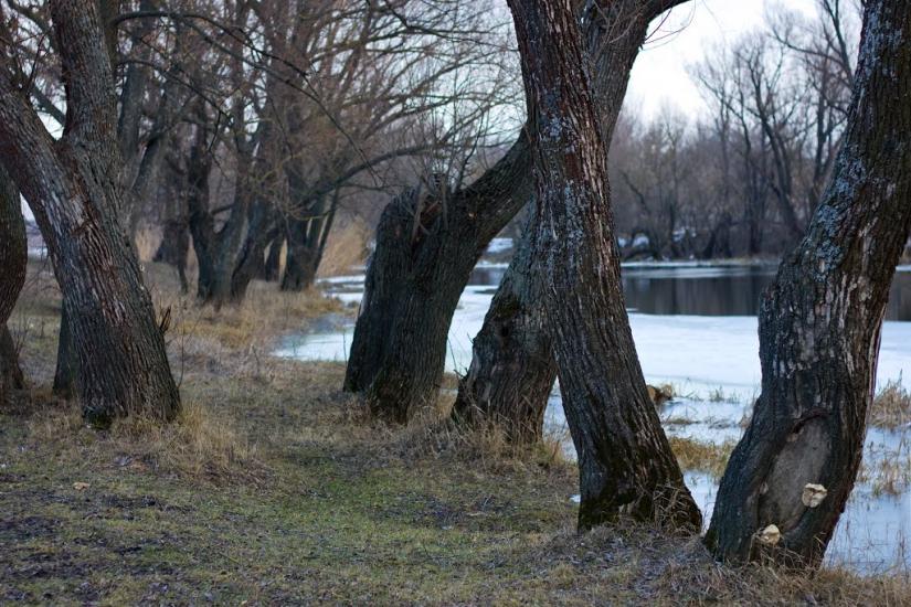 Вовчанськ з panoramio.com - Volchansk