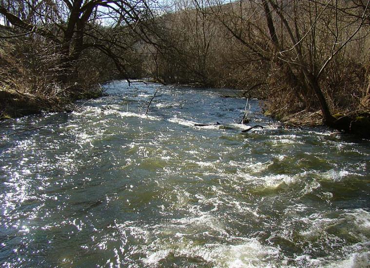 Кринцілів з panoramio.com - Кринцілів