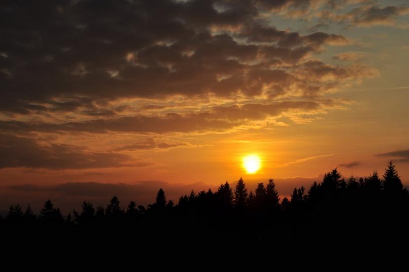 Міжгір'я з panoramio.com - Міжгір'я