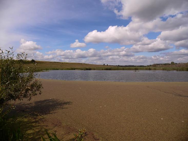 Рогачі з panoramio.com - Рогачи