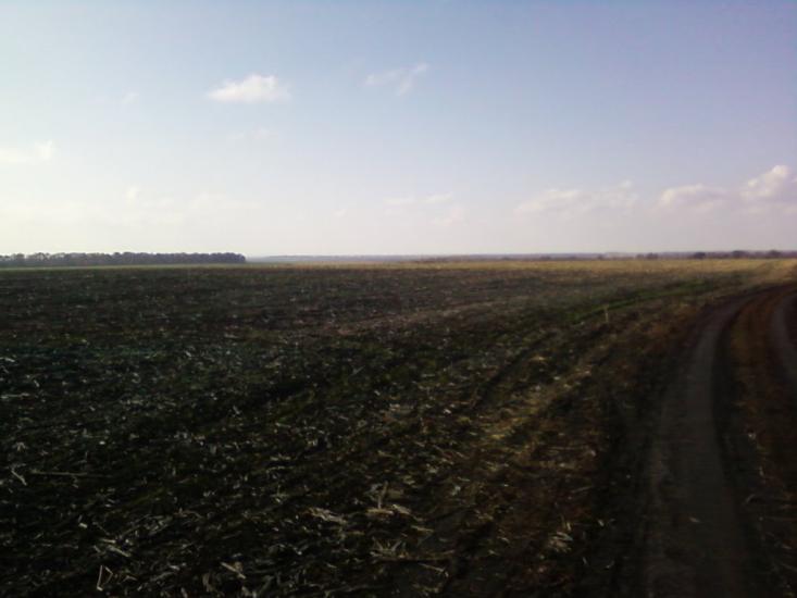 Довгеньке з panoramio.com - Довгеньке