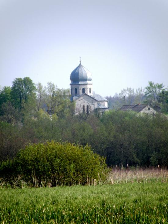 Кобзарівка з panoramio.com - Кобзарівка
