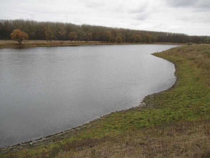 Брусилів з panoramio.com - Брусилов