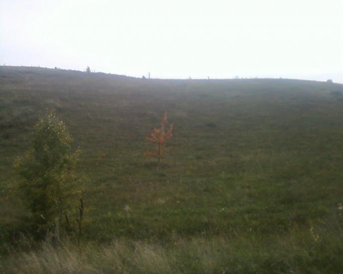 Синява з panoramio.com - Synyava