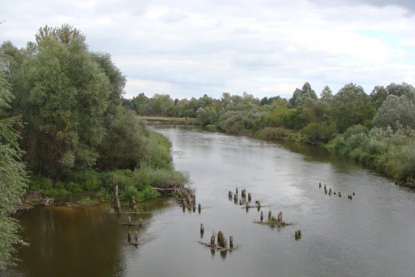 Іванків з panoramio.com - Иванков