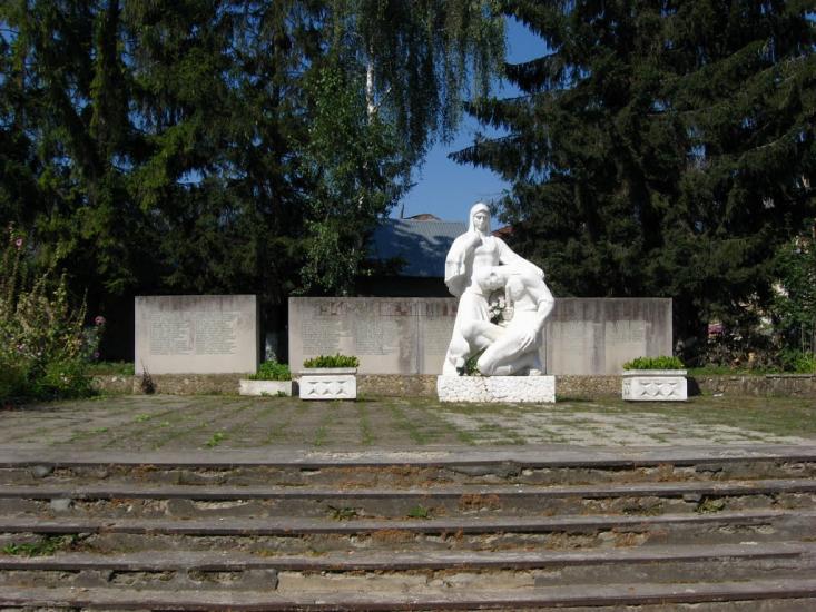 Добромиль з panoramio.com - Dobromyl