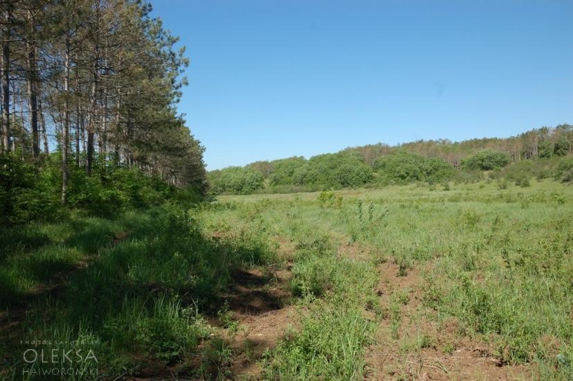Долинне з panoramio.com - Долинне