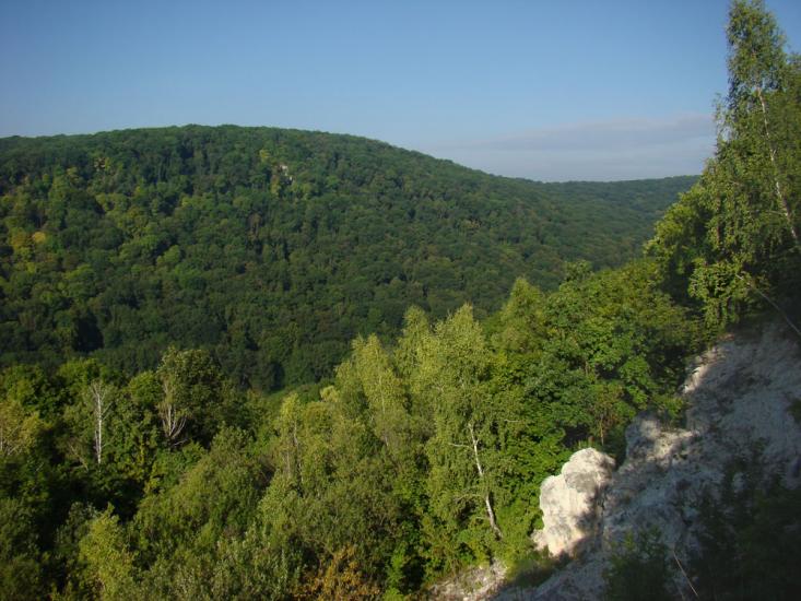 Іванківці з panoramio.com - Іванківці